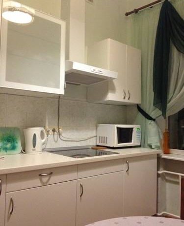 Апартаменты Metro Krasny Prospekt Apartment Новосибирск-44