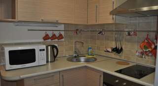 Апартаменты Metro Krasny Prospekt Apartment Новосибирск-4